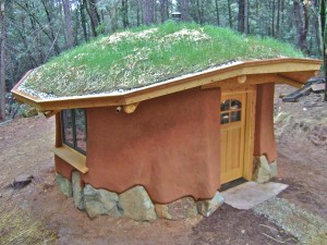 seed kiva, california cob, rob pollacek, natural building workshops, cob workshops