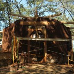 california cob, natural building workshops, rob pollacek, cob workshops california