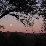california cob, natural building workshops, rob pollacek, cob workshops california
